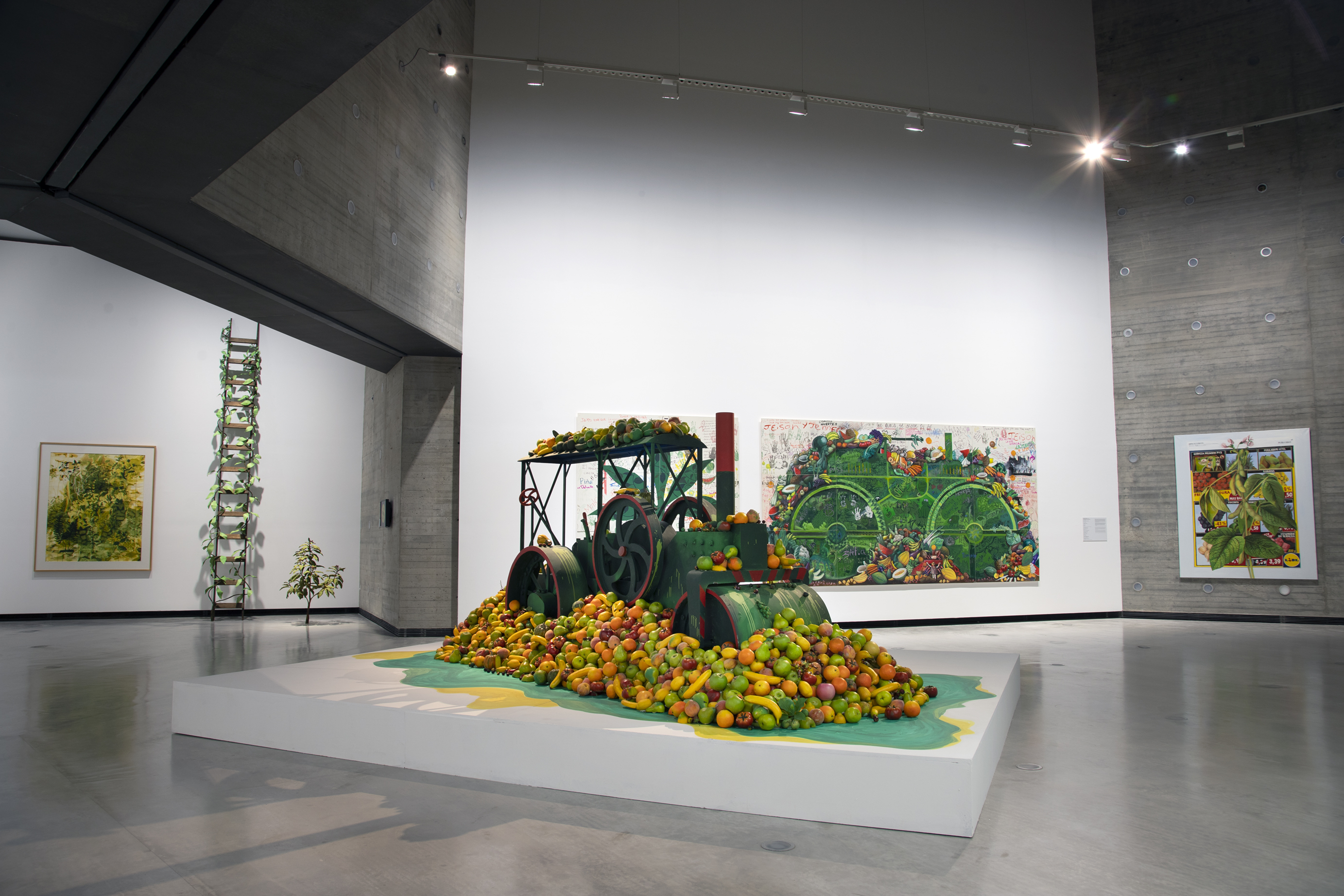 Vista de sala de la exposición Sombra verde. Federico Guzmán y la carrera de las plantas