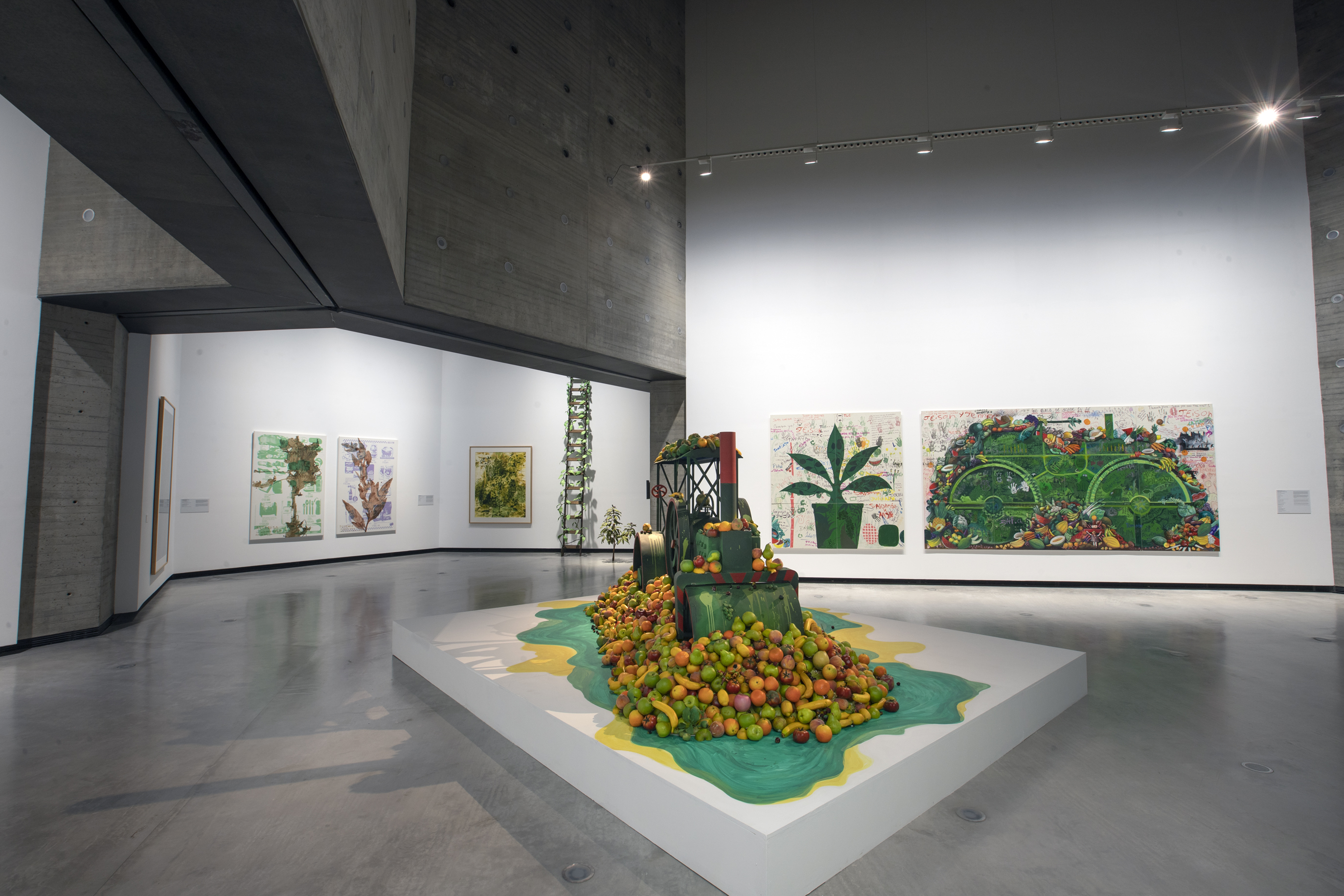 Vista de sala de la exposición Sombra verde. Federico Guzmán y la carrera de las plantas