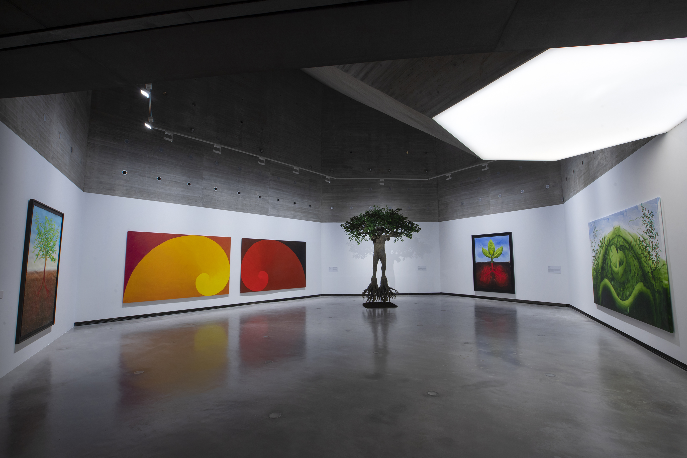 Vista de sala de la exposición Sombra verde. Federico Guzmán y la carrera de las plantas