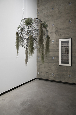 Exhibition view: ¿Abundant Futures: Works from the TBA21 Collection¿ Works from left to right: Tomás Saraceno, Pneuma 5.5, 2021 and Cerith Wyn Evans, Katagami Screen 5, 2015. TBA21 Thyssen-Bornemisza Art Contemporary Collection Photo: Rafael Suárez