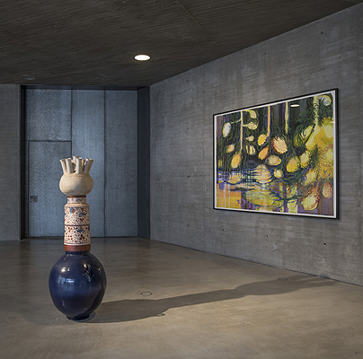 Exhibition view: "Abundant Futures: Works from the TBA21 Collection" Works from left to right: Asunción Molinos Gordo ¡Cuánto Río Allá Arriba!, 2021, Janaína Tschäpe, Mangrove Shortstory, 2005. TBA21 Thyssen-Bornemisza Art Contemporary Collection Photo: Rafael Suárez