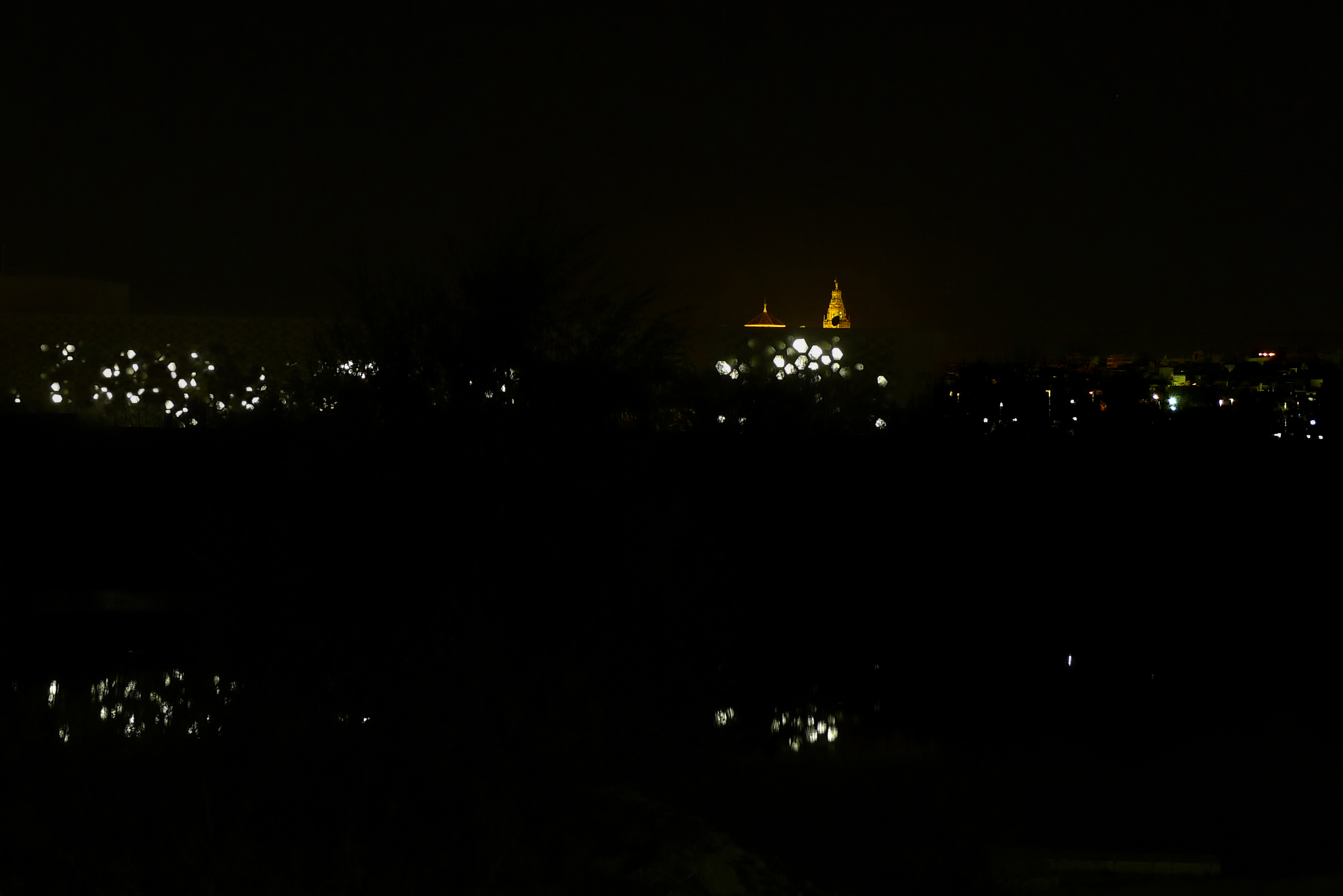 /image/journal/article?img_id=105419265&t=1611073806709