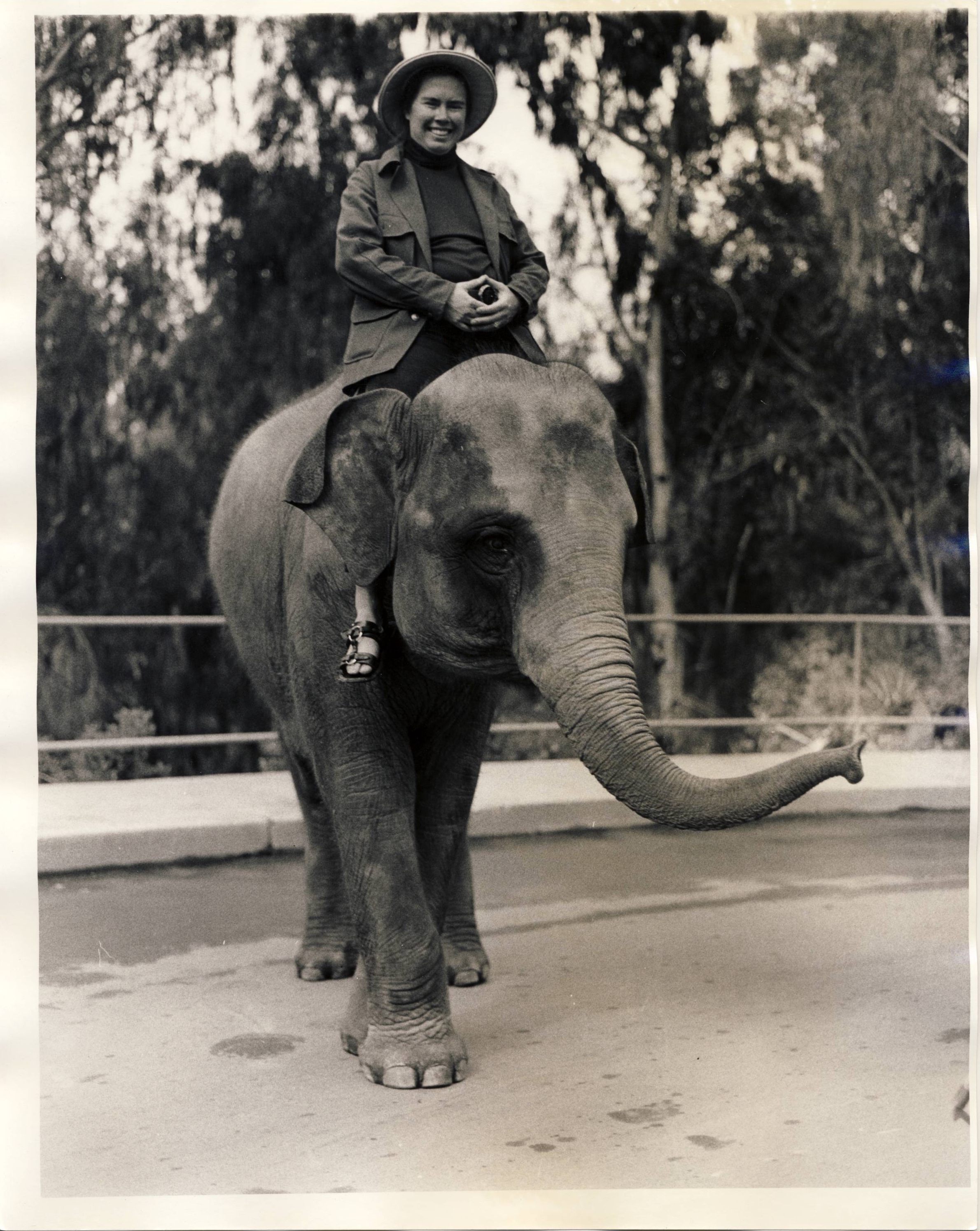 /image/journal/article?img_id=106658921&t=1611576918696