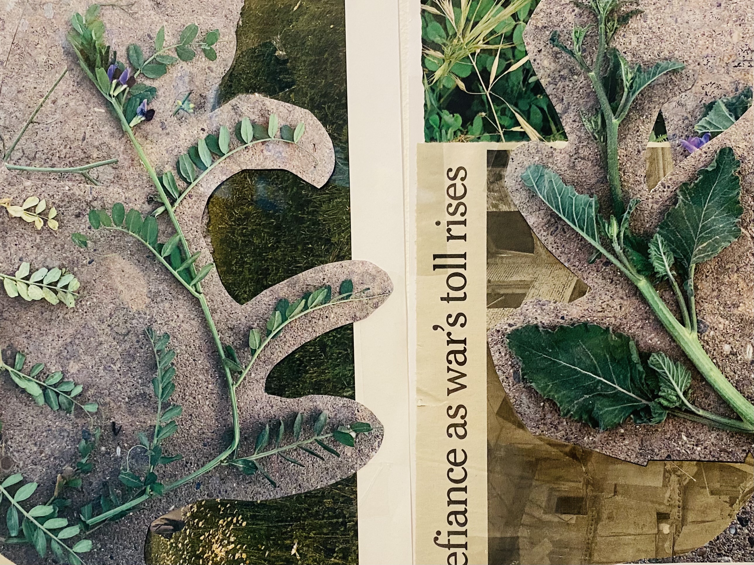 /image/journal/article?img_id=231309295&t=1677780755436