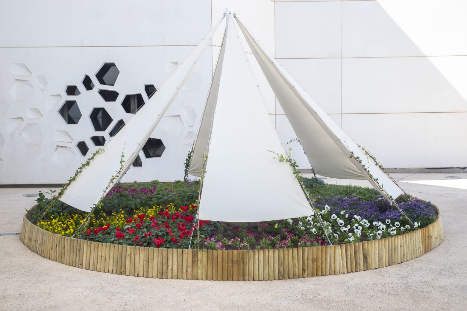 /image/journal/article?img_id=240680676&t=1680681157603