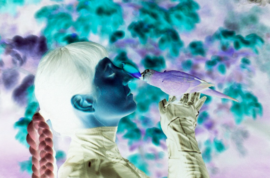 /image/journal/article?img_id=285355666&t=1698916684031