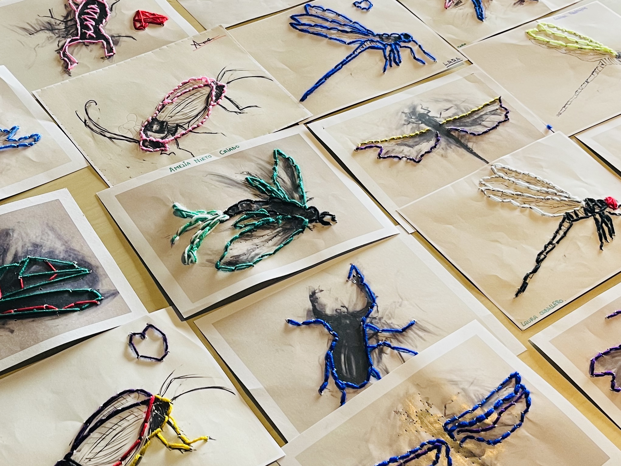 /image/journal/article?img_id=308044019&t=1709557040452