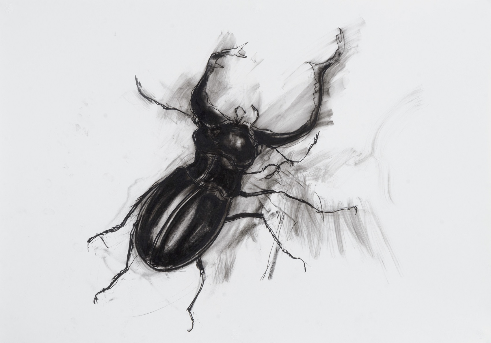 /image/journal/article?img_id=311734150&t=1711029565672