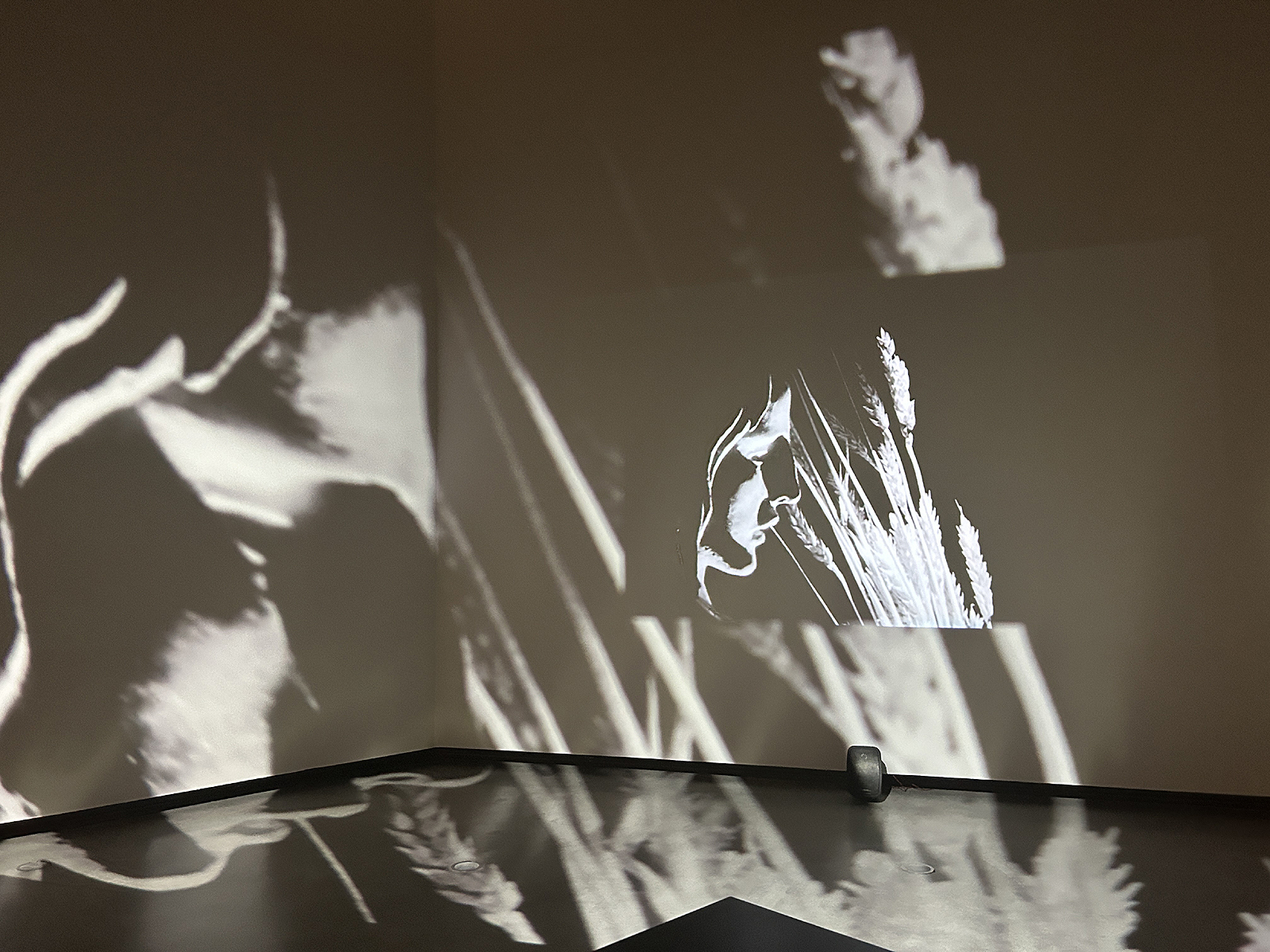 /image/journal/article?img_id=324273757&t=1714771959554