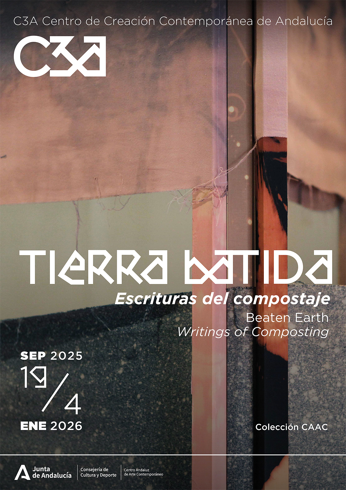 /image/journal/article?img_id=486710386&t=1768500409791