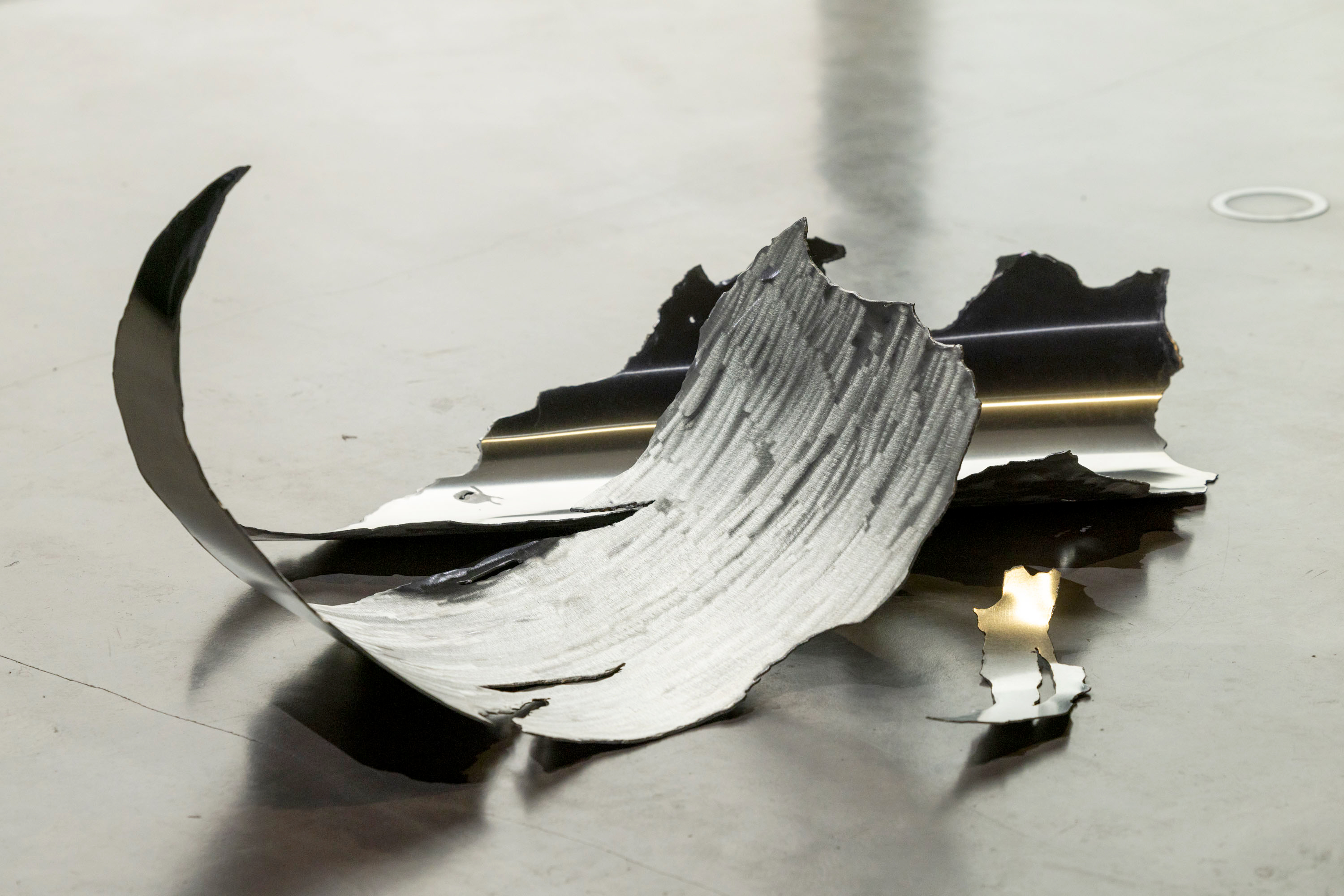 /image/journal/article?img_id=486976008&t=1768568673447