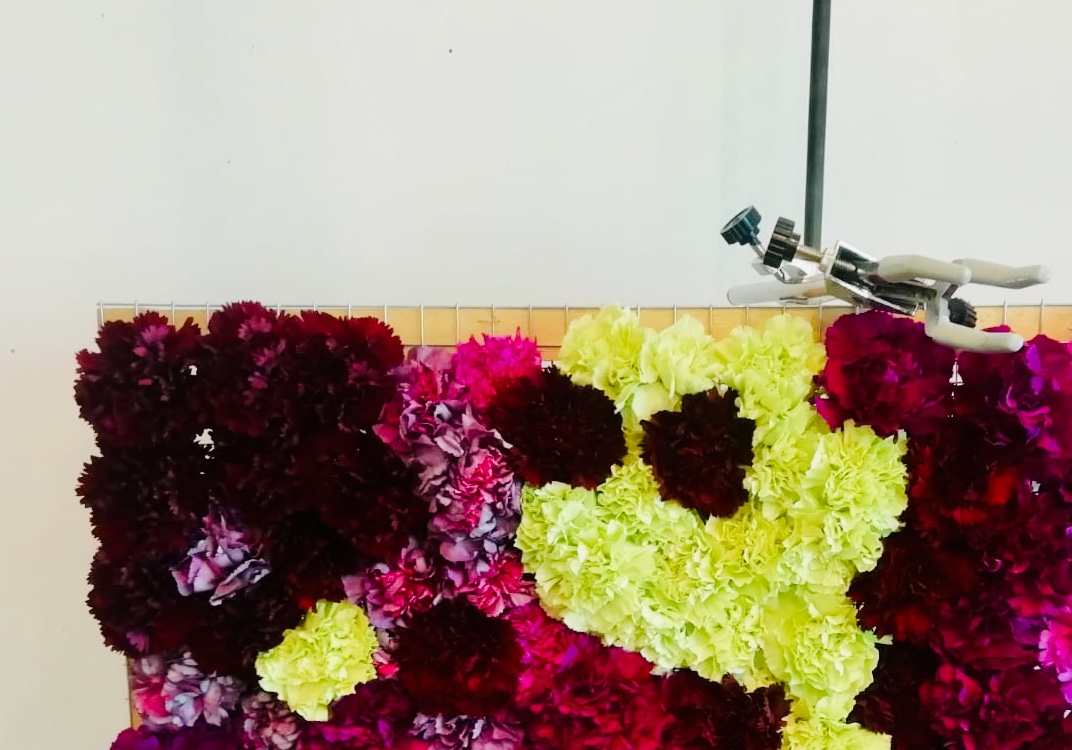 /image/journal/article?img_id=54342753&t=1571662222434