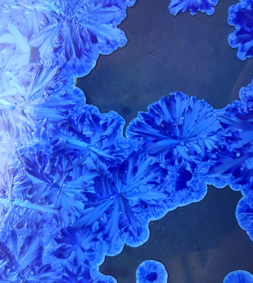 /image/journal/article?img_id=68239358&t=1586170360167